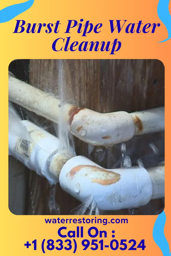 Burst Pipe Water Cleanup in Schwenksville, PA