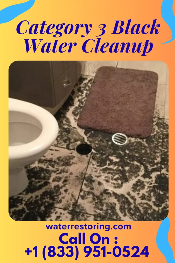 Category 3 Black Water Cleanup in Schwenksville, PA