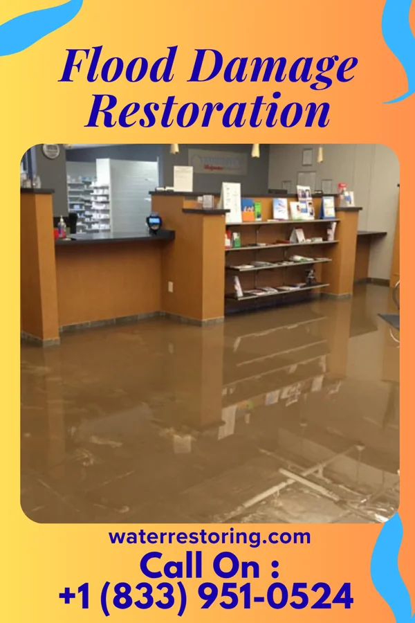 Flood Damage Restoration in Schwenksville, PA